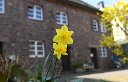 Das Angebot von Bethel.regional richtet sich an Menschen mit einer psychischen und/oder Suchterkrankung aus dem Kreis Höxter, die selbstbestimmt in einer eigenen Wohnung leben möchten und dabei Unterstützung benötigen.